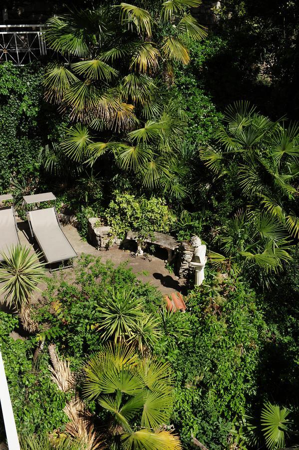 Superior Double or Twin Room Garden View